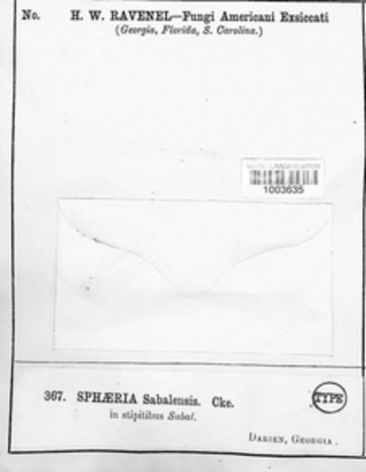 Oxydothis sabalensis image